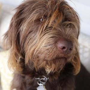 Meet your Posher, Melanie